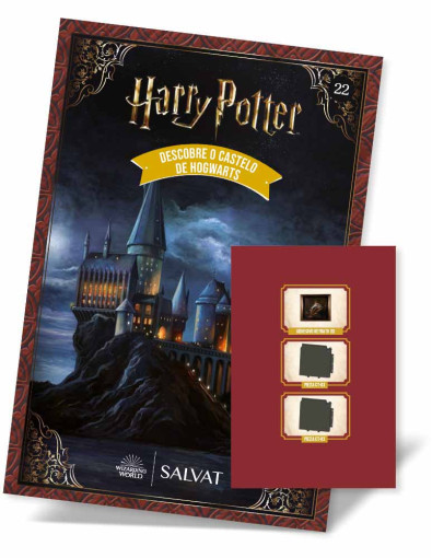 Nº 22 - Escola de Magia e Bruxaria de Hogwarts