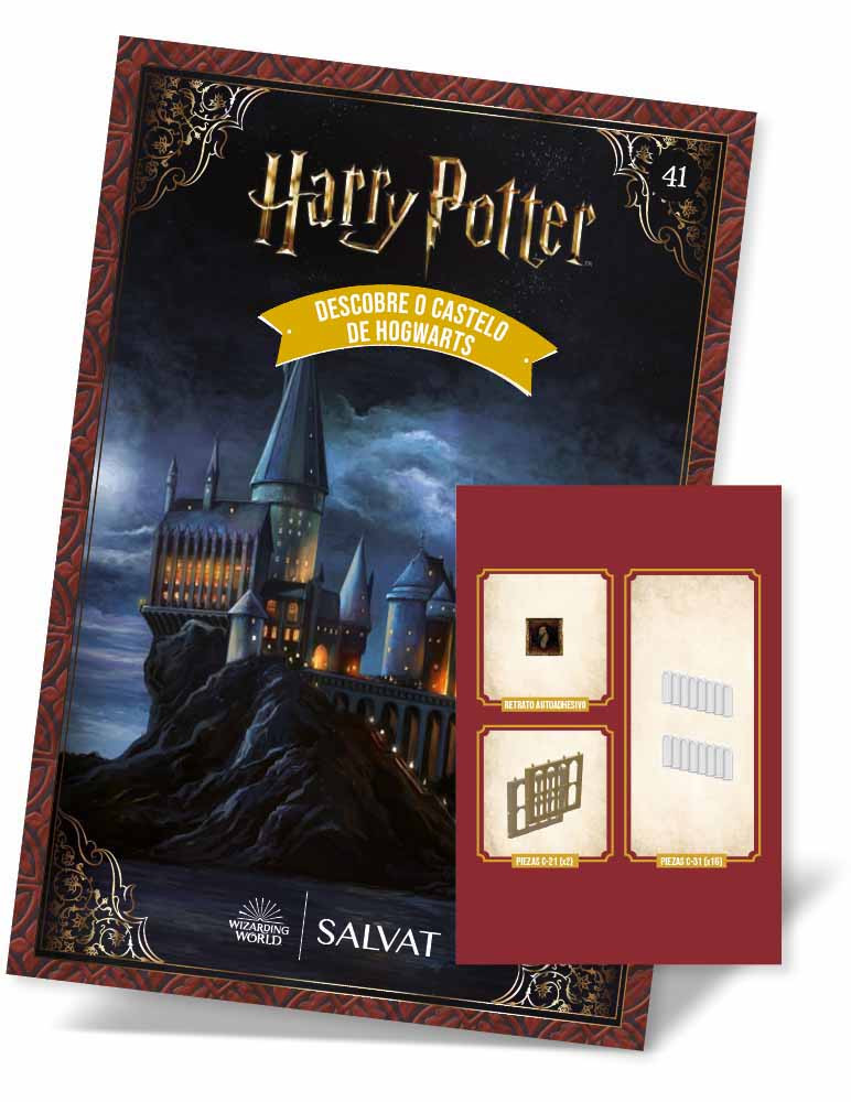 Nº 41 - Escola de Magia e Bruxaria de Hogwarts