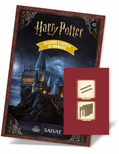 Nº 42 - Escola de Magia e Bruxaria de Hogwarts