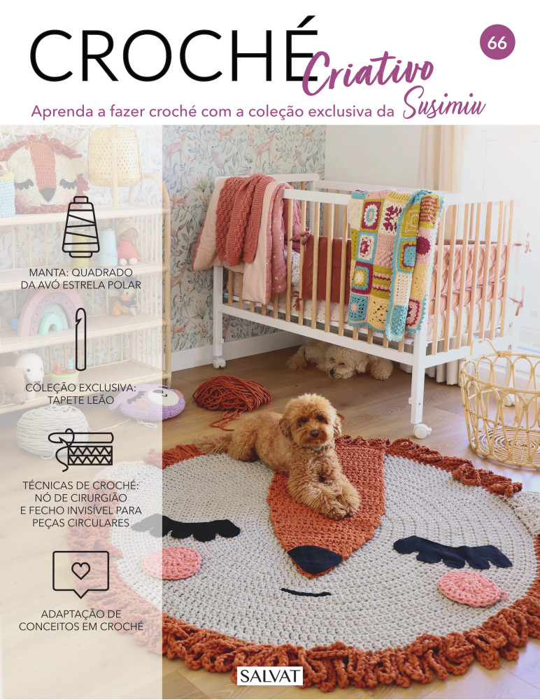 Nº66 Adaptação de conceitos em croché